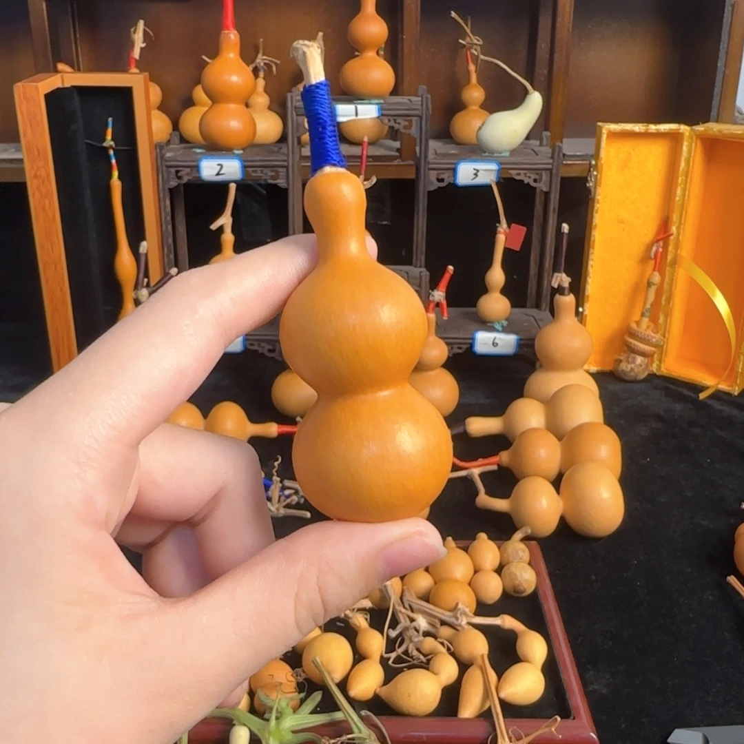 好货来了来了来了来啦来