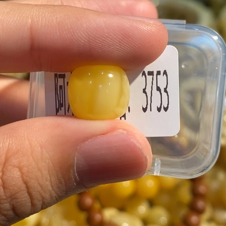 琥珀未镶嵌珠宝奇石3753