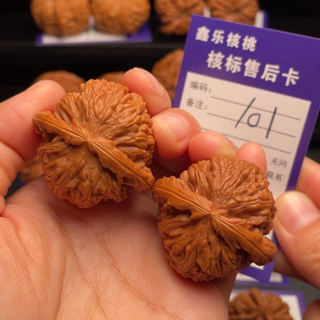 把件文玩核桃白狮子40尺