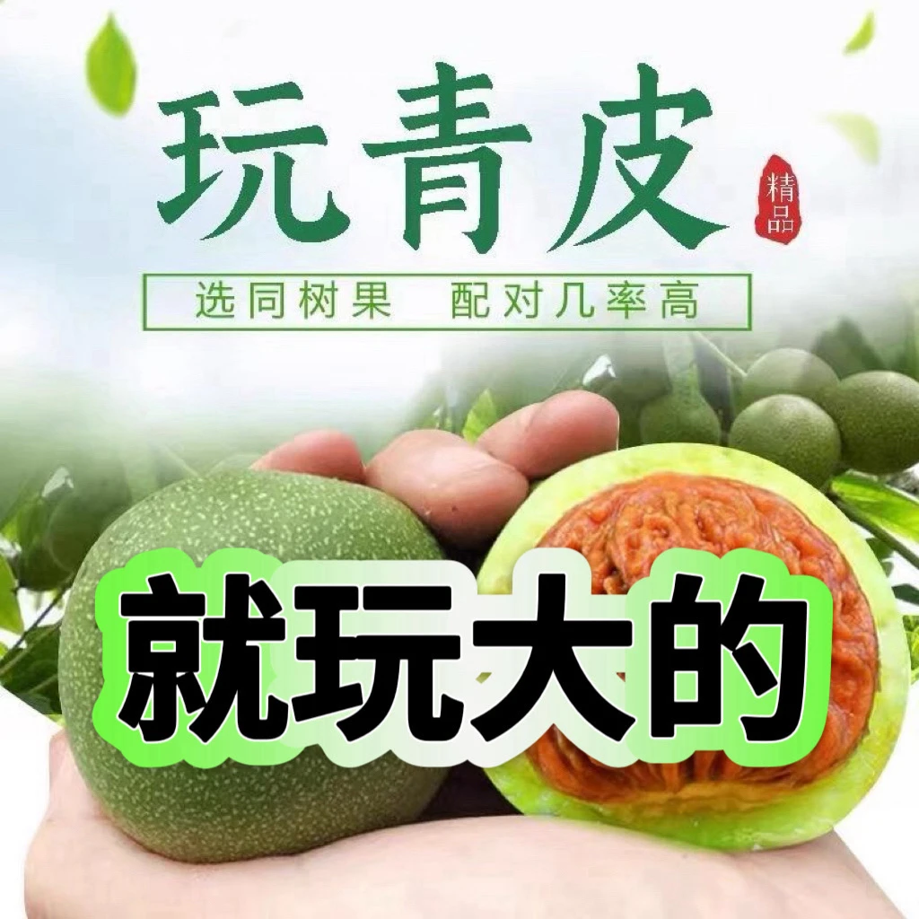 保配对—文玩核桃—同树果配对更高
