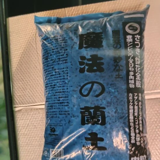 升级版魔法兰土6/9  18升