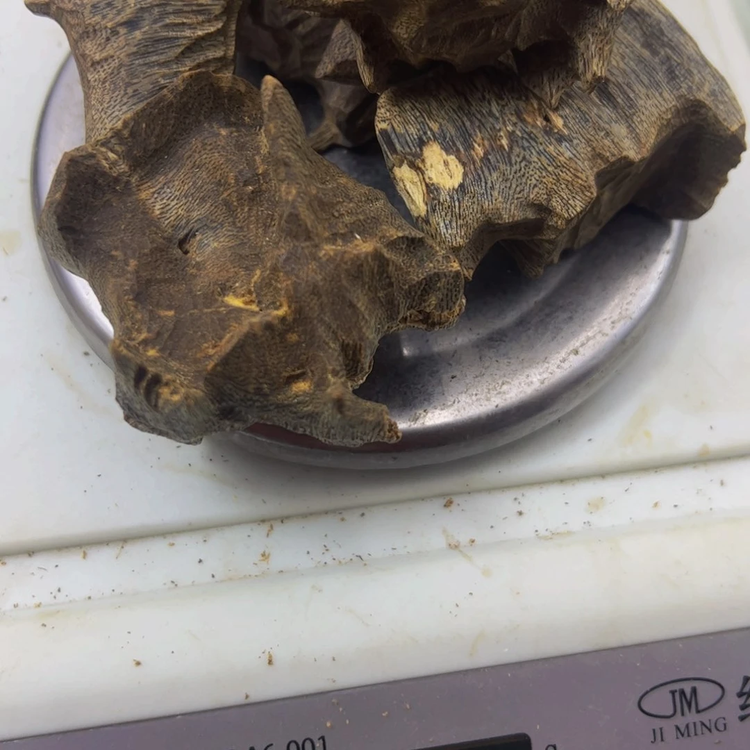 木奇楠乌身园叶母树料