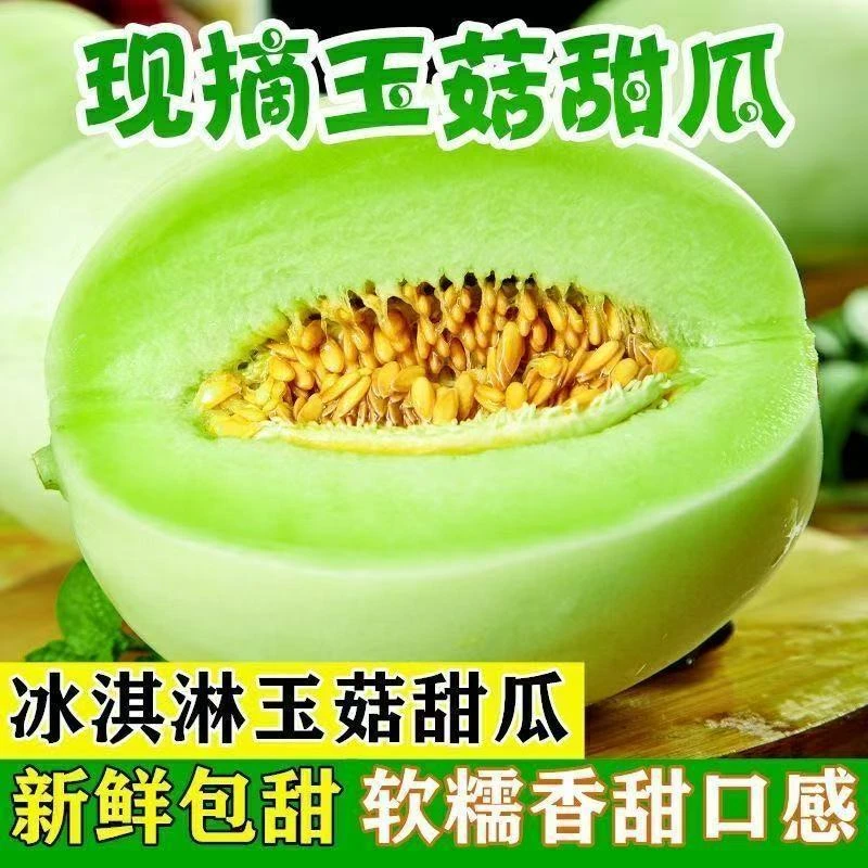 巴盟玉菇甜瓜冰淇淋蜜瓜新鲜现摘香甜可口当季水果7-8斤京东包邮
