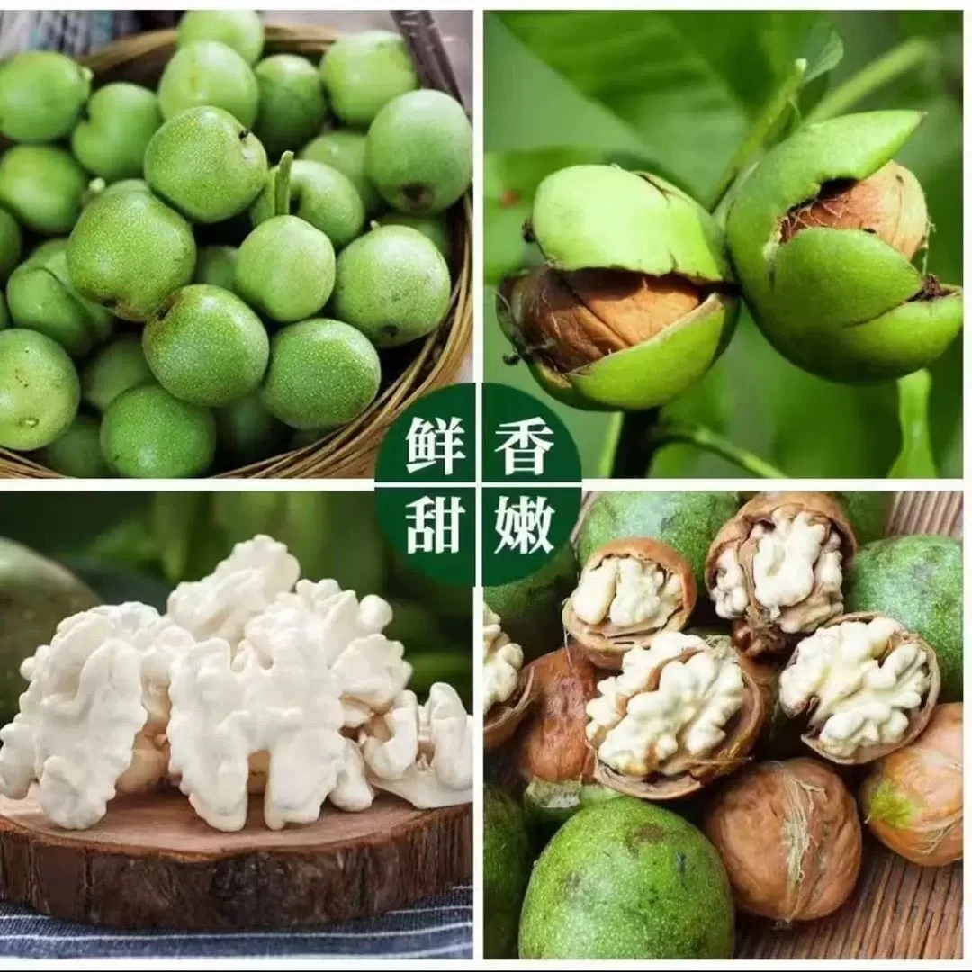 新鲜核桃2025新货带青皮湿嫩生核桃绿皮青皮核桃薄皮核桃