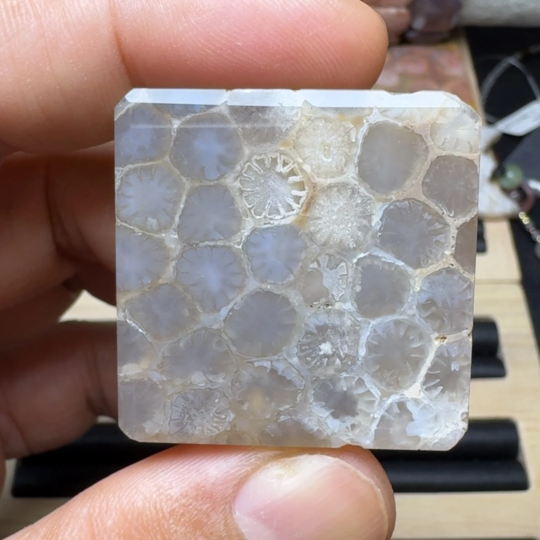 未镶嵌纯天然色有机玉石保真色硅化玉