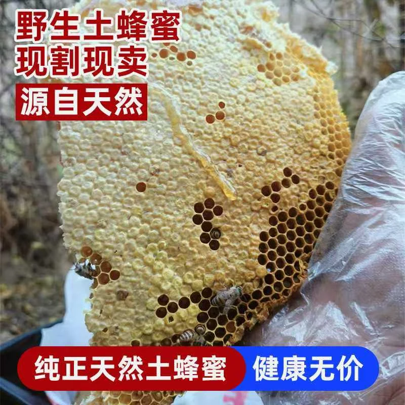 深山地道土蜂蜜高山天然百花蜜