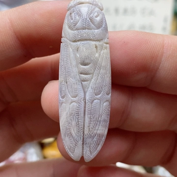 硅化珊瑚（珊瑚玉）未镶嵌颈饰有瑕