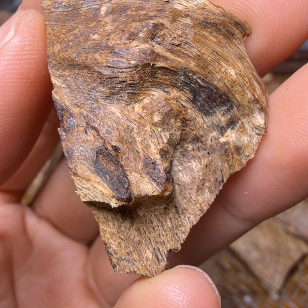 半***人沉香沉香碎屑莺歌绿奇2.4克