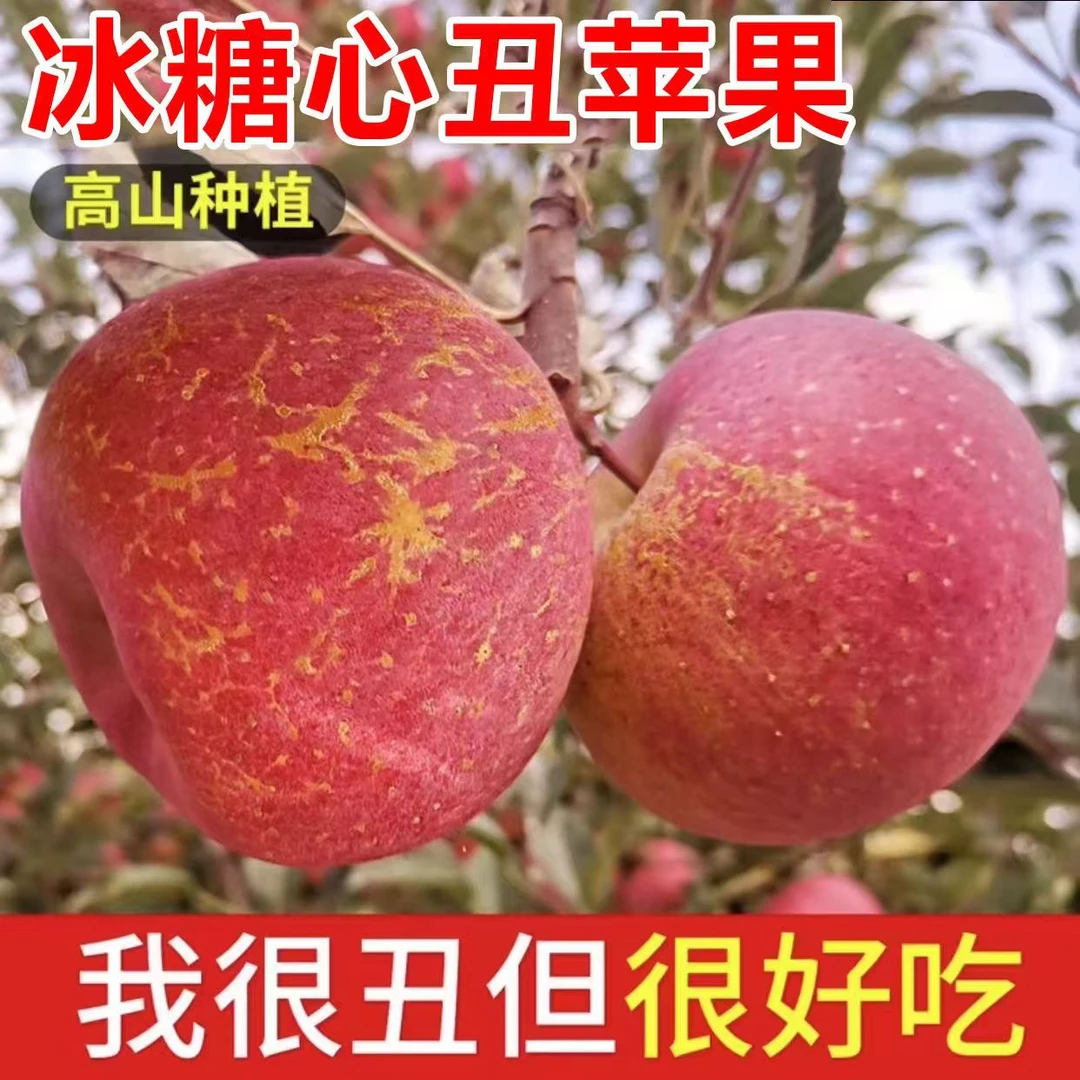 高山冰糖心苹果丑苹果脆甜多汁现摘先发净重8斤大果彩箱泡沫托发