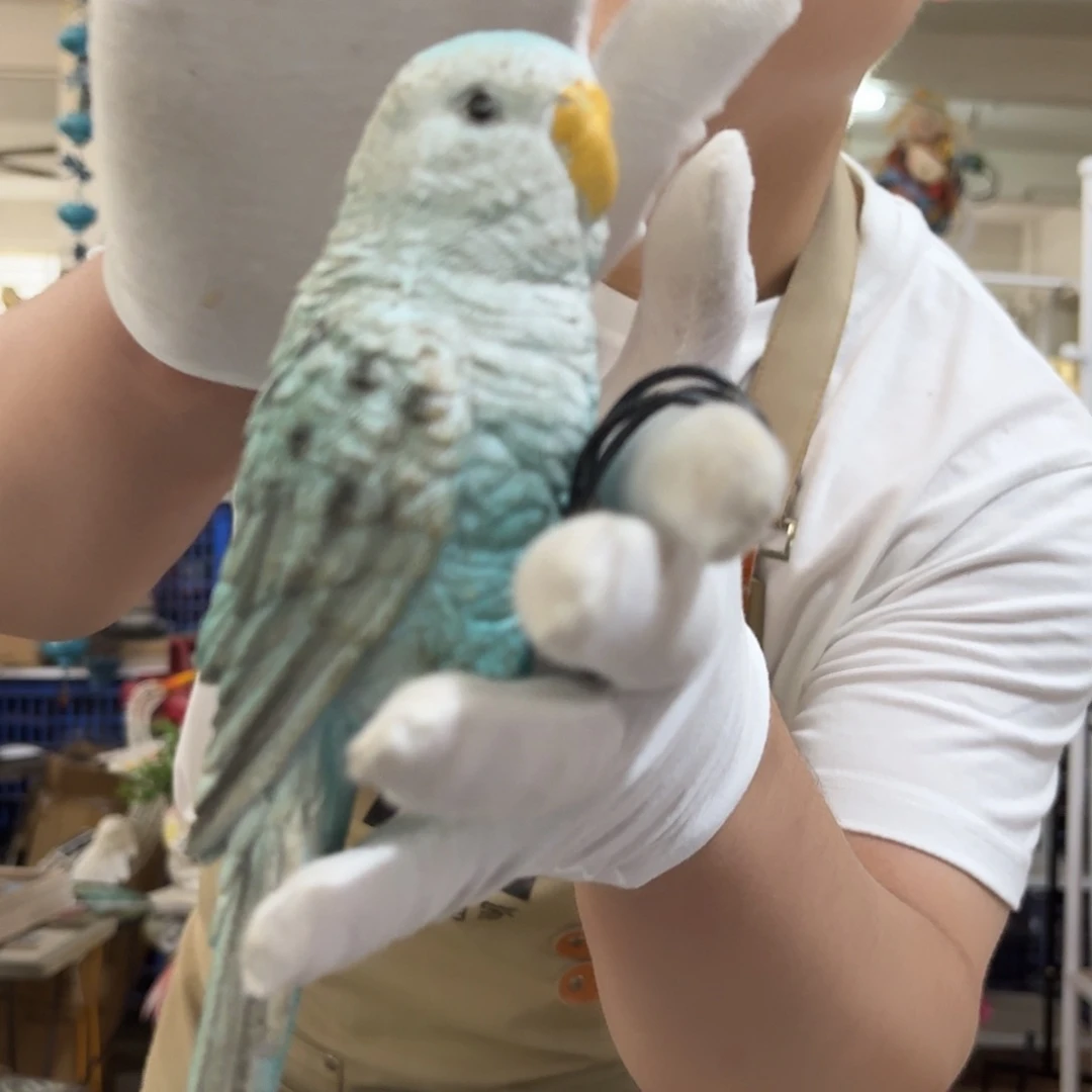 核桃木/黑胡桃（胡桃木）