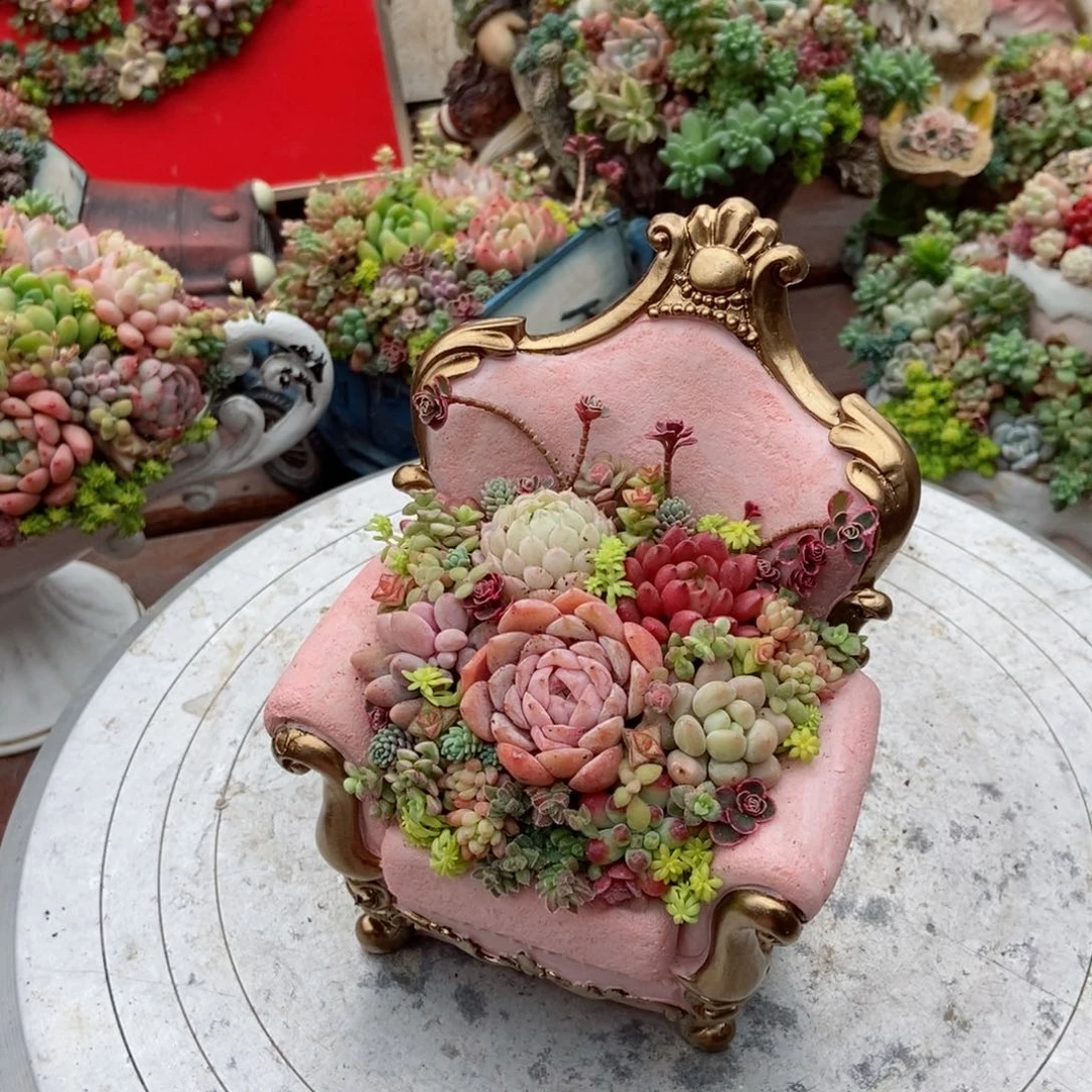 粉色沙发成品带植物发货