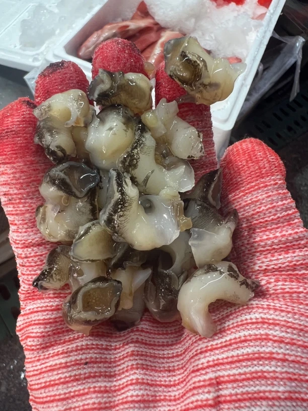 凤螺肉，顺丰发货