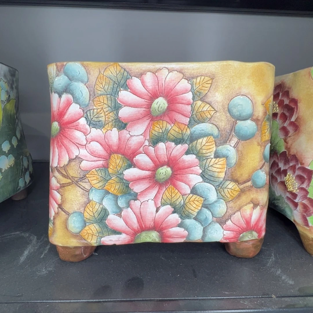 福利捡漏小雏菊方盆