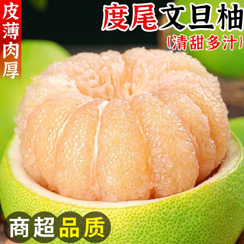 正宗福建仙游度尾文旦柚红心柚子新鲜当季水果孕妇应季时令包邮