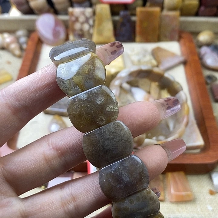 硅化珊瑚（珊瑚玉）未镶嵌颈饰