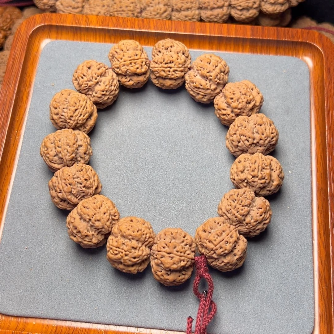 11号金刚菩提古龙梅花双龙26