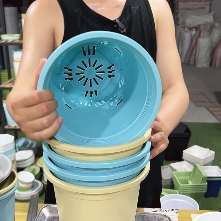 圆形控根口21高21混色无托5只