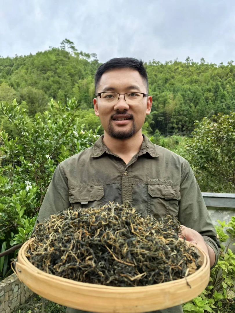 【稻悠悠】福建武平 野苦菜、苦斋 250g包邮