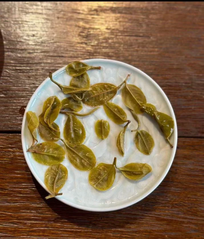 猫耳朵•不常见稀缺树种•香味回甘奇特