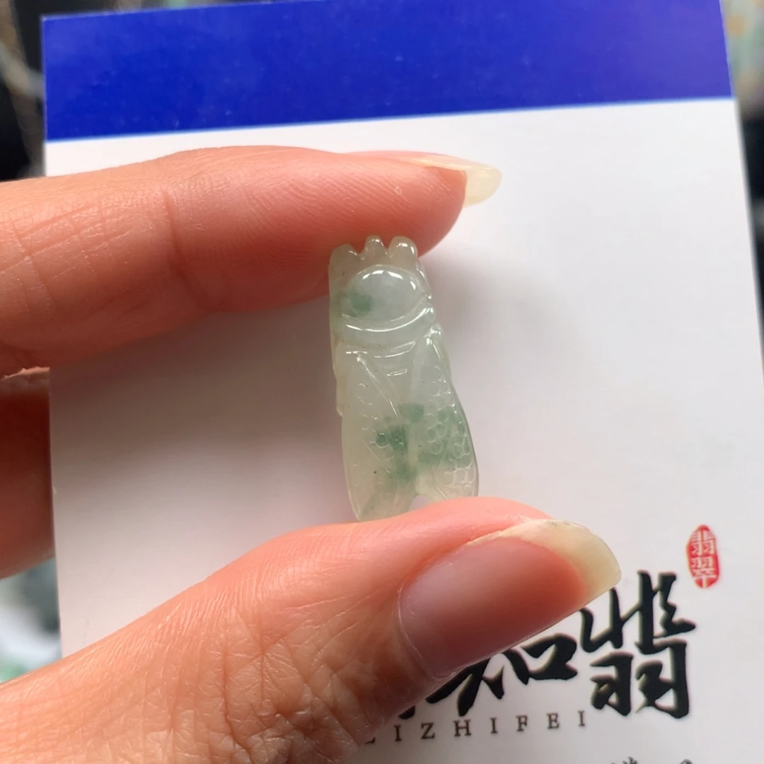 翡翠颈饰未镶嵌一鸣惊人