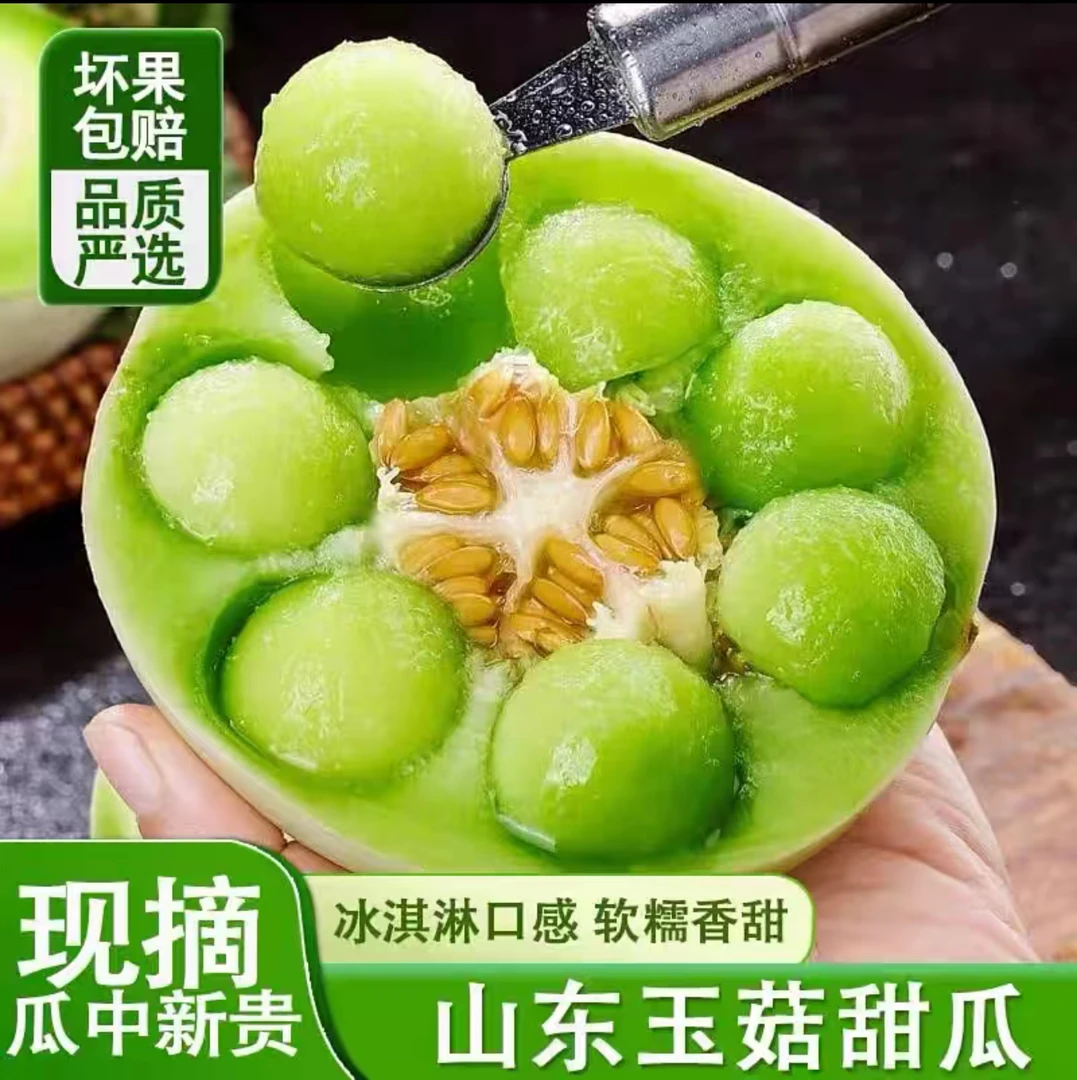 山东头茬玉菇冰淇淋甜瓜新鲜水果软糯香甜冷藏后口感更佳