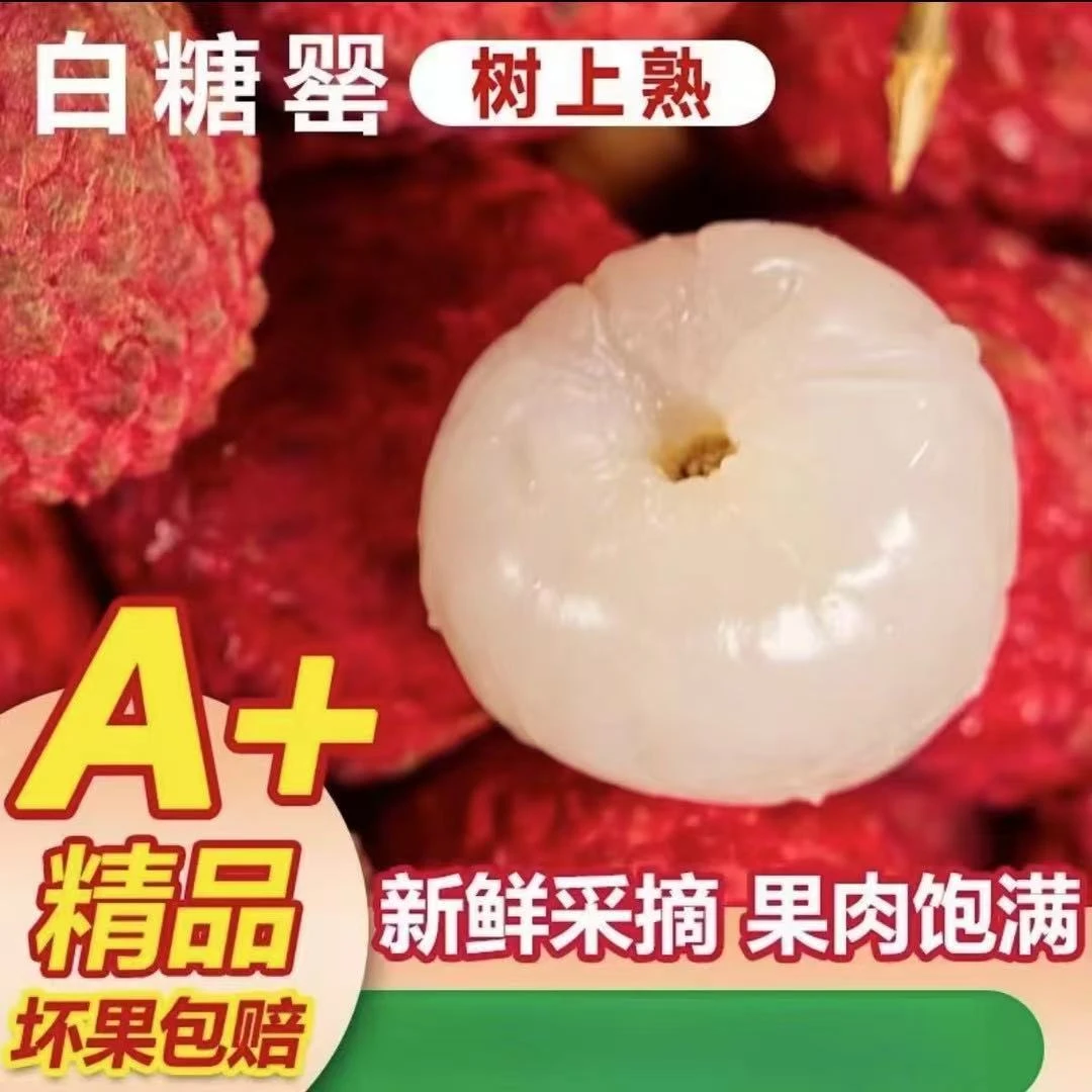 【京东兔优达顺丰冷链】广东白糖罂荔枝当季新鲜采摘发货sw