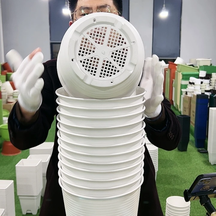 正品高陶口21高21白色6只无托