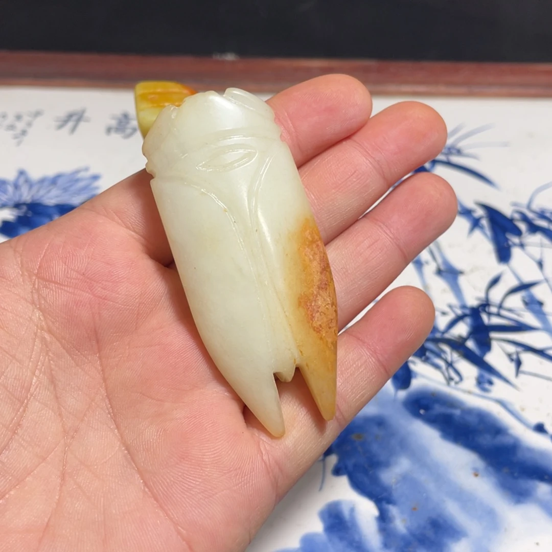 官方链接下单放心拍