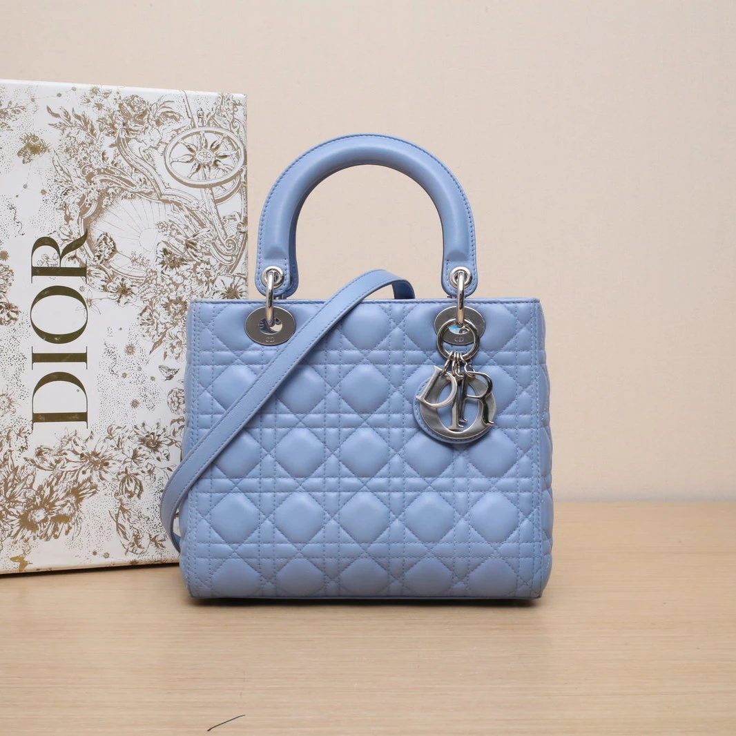 95新 DIOR/迪奥 【双攀】 戴妃包 五格 蓝色 银扣 2014  704829