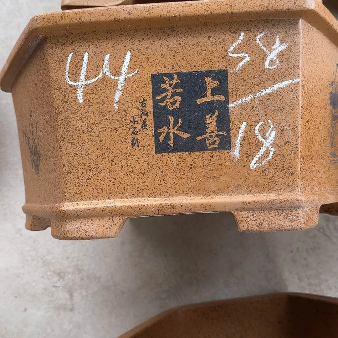 紫砂花盆这是我第一