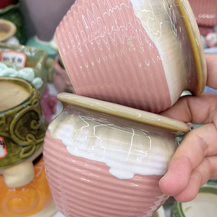 多肉植物陶瓷花盆