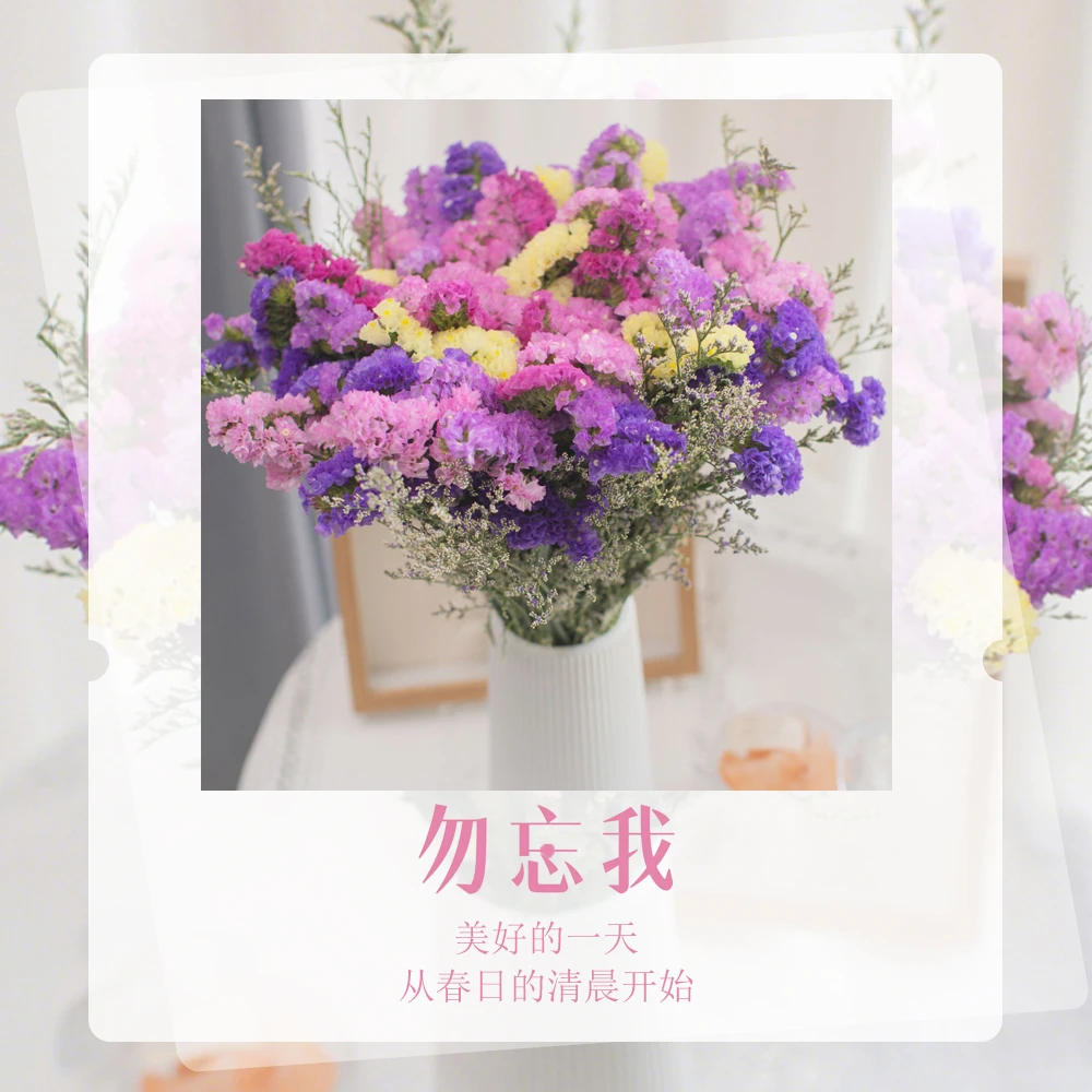 【送花瓶】勿忘我半干花带花盆真花鲜艳客厅装饰摆件插花无需加水