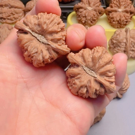 密纹卡姿兰大眼文玩核桃
