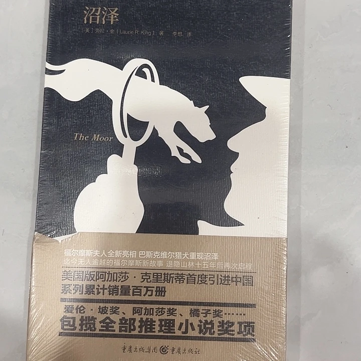 正版书籍 推理小说