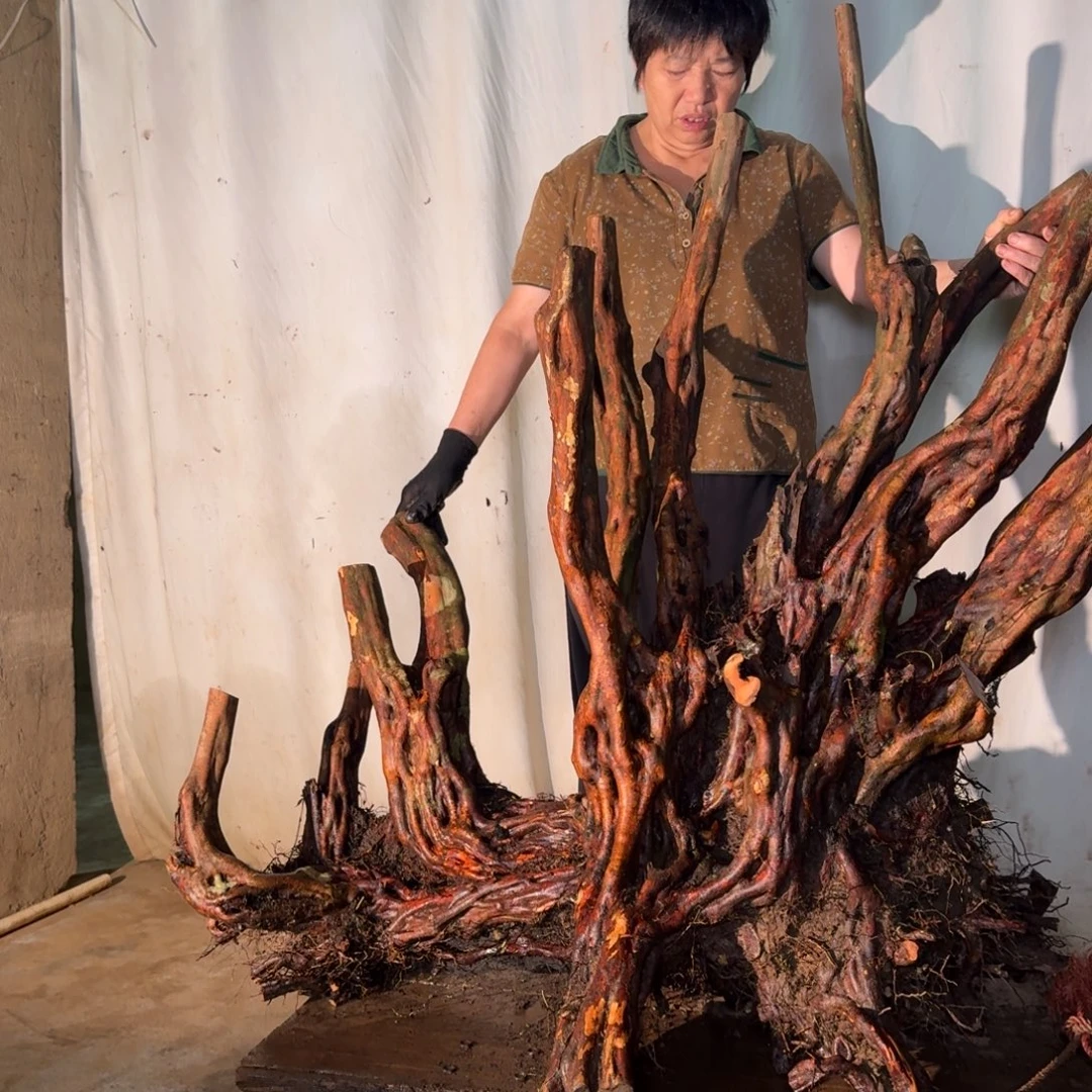 国***兵1111111111111111111