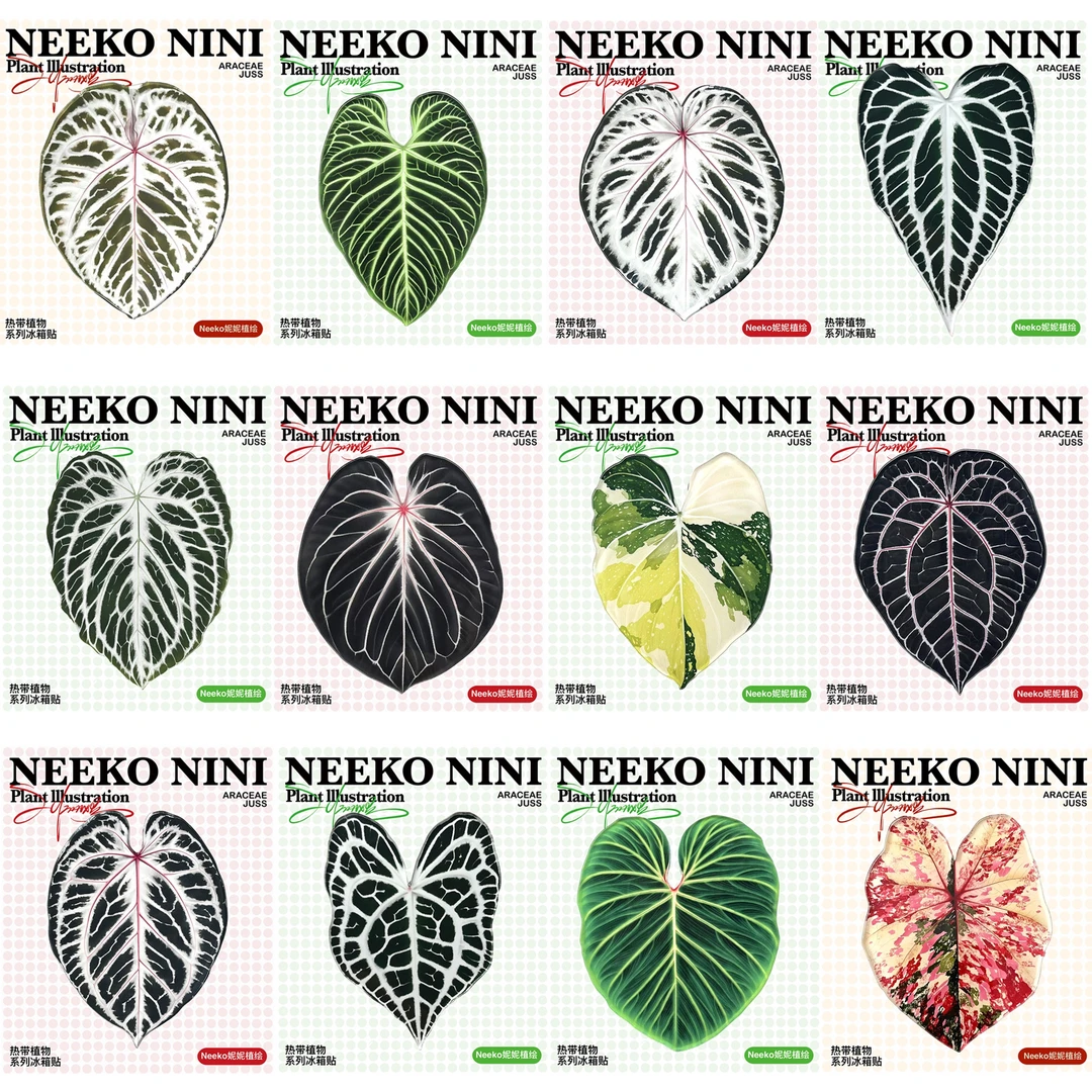 Neeko妮妮|热植原创 花烛蔓绿绒彩叶芋植物冰箱贴 亚克力磁吸
