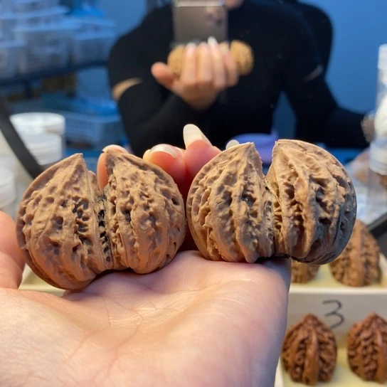 桃核把件同树双棒