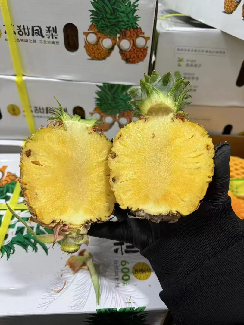 【白富美】海南空运金钻凤梨 1个