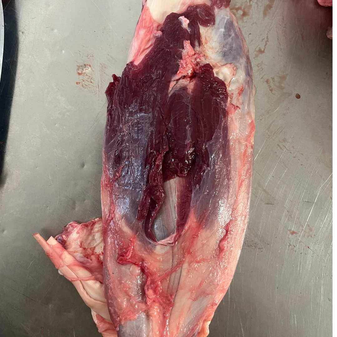 内蒙古草原牛腱子