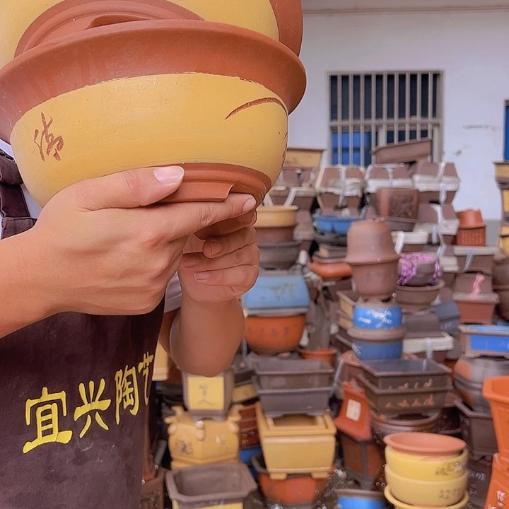 紫砂花盆紫砂花盆