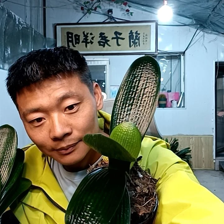 @用户5374146654792油王短