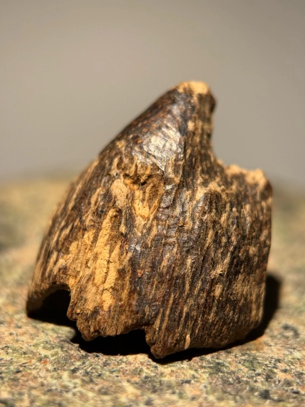 沉香八十年代下树海南大山料沉香0.84克