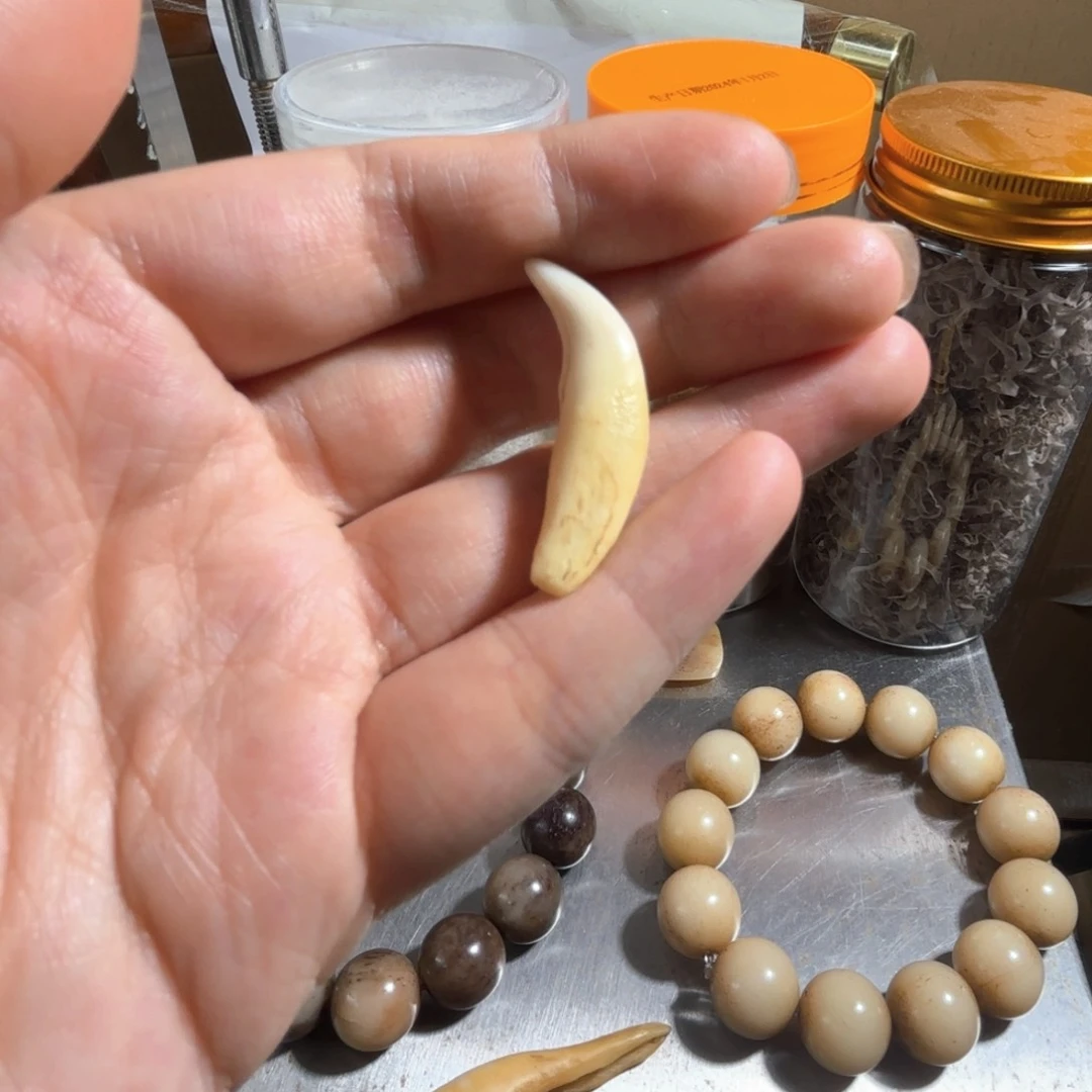 搪瓷小lang Y啊呀呀呀呀呀
