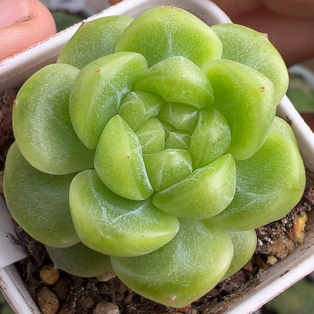 现金财富密码。