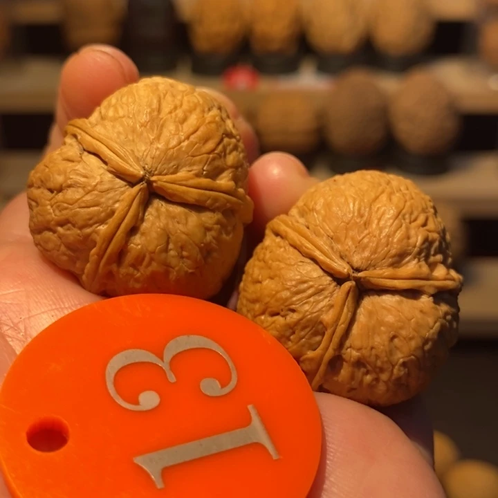 木质类富贵三棱31尺寸