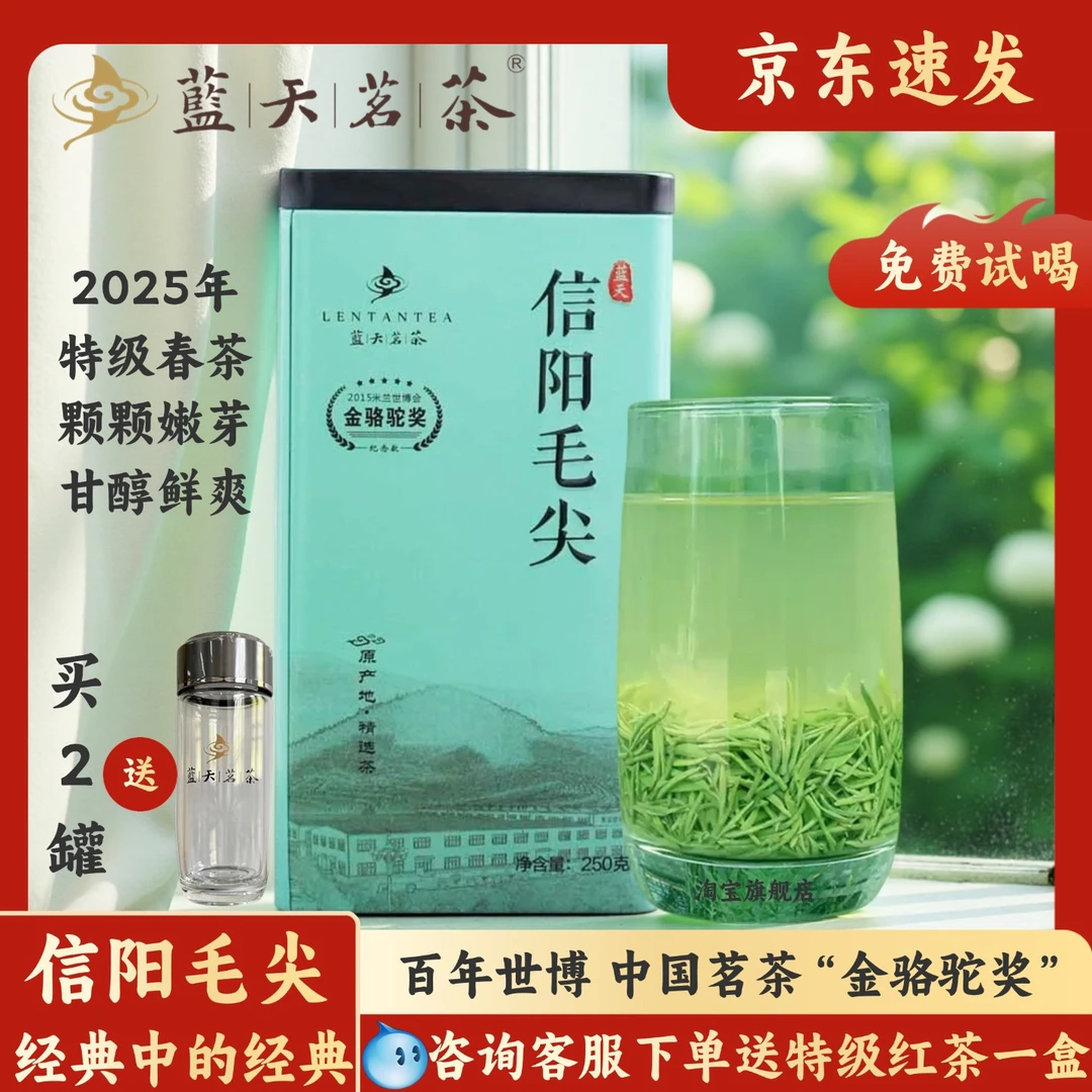 蓝天茗茶2025春茶信阳毛尖绿茶雨前特级茶叶绿茶芽叶浓香罐装250g