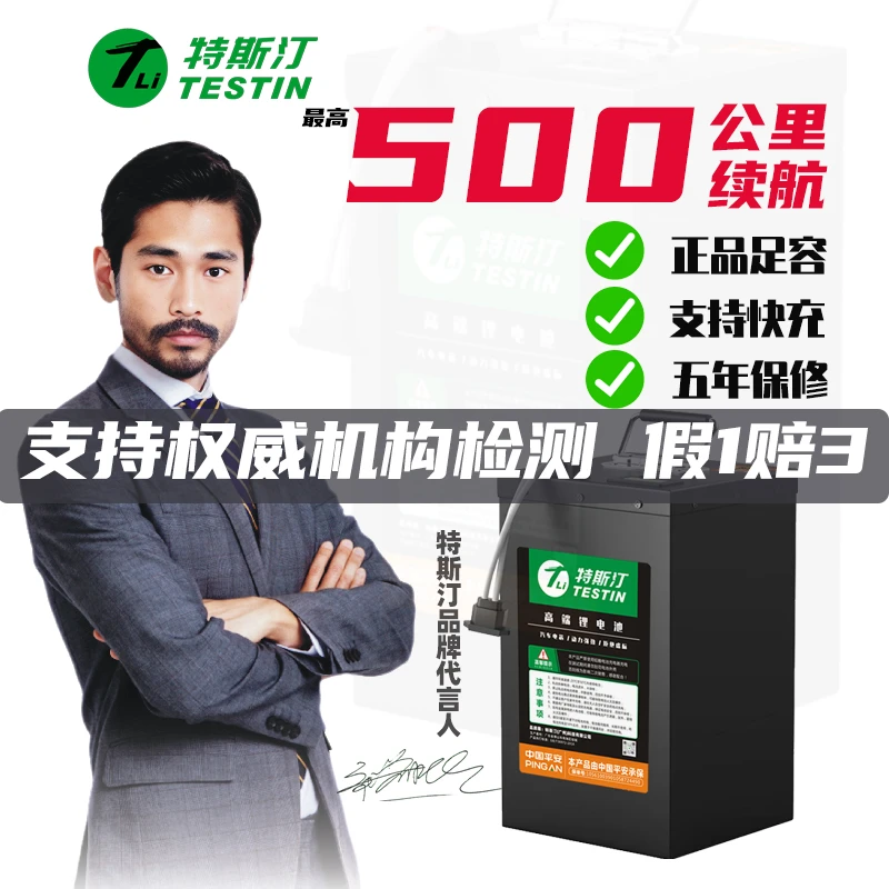 Testin/特斯汀电动车48V电池电动自行车宁德三元锂电瓶磷酸铁锂
