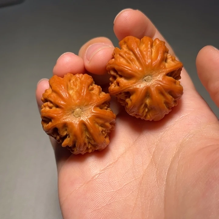 文玩核桃把件粗筋592