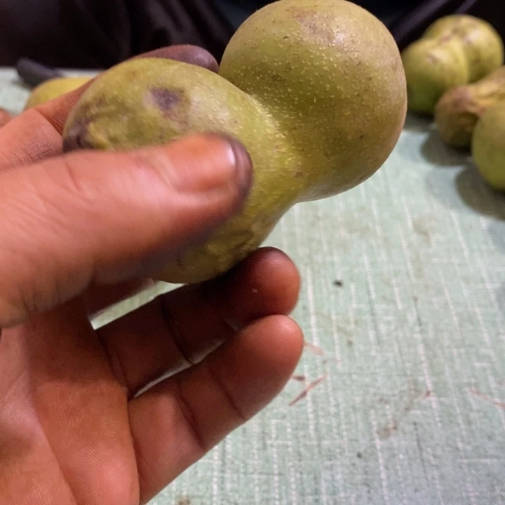 把件文玩核桃德****鱼