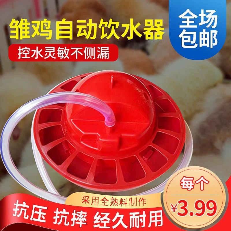 小鸡饮水器鸽子鸭鹅自动喂水器鹌鹑补水器配件雏鸡饮水壶养鸡设备